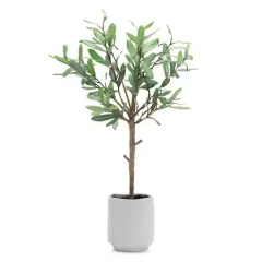 21.5" Potted Olive Leaf Topiary