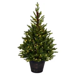 4ft. Pre-Lit Reeder Pine Artificial Christmas Tree, White LED Lights