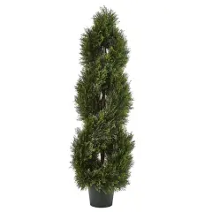 4ft. Potted Double Pond Cypress Spiral Topiary Tree