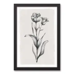 Floral Stems Sketch 13.73" x 19.73" Black Framed Canvas