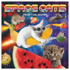 TF Publishing 2024 Space Cats Mini Calendar