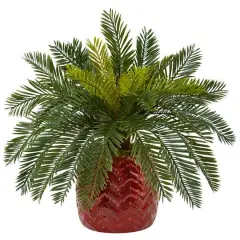 15'' Cycas Palm in Red Ceramic Planter