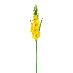 45" Yellow Gladiolus Flower Stems, 3ct.