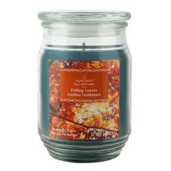 17oz. Fall Scented Jar Candle by Ashland&reg; Falling Leaves