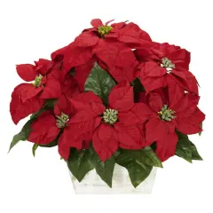 16.5" Potted Poinsettia in White Washed Planter