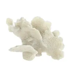 6.5" Large White Coral Tabletop D&eacute;cor