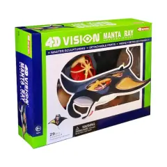 4D Vision&trade; Manta Ray Anatomy Model