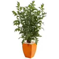 5ft. Fishtail Artificial Palm Tree in Orange Planter