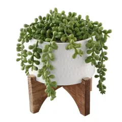 Flora Bunda&reg; 5" String Of Pearl In Hobnail Ceramic Planter On Stand