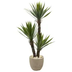 4.5ft. Yucca Tree in Sandstone Planter