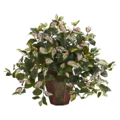 20" Hoya Plant in Decorative Planter