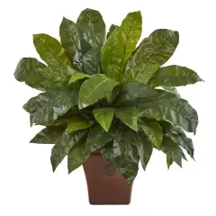 2.5ft. Birds Nest Fern in Brown Planter