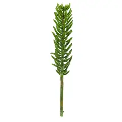 Green Succulent Pick, 6ct.