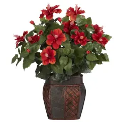 24" Hibiscus Plant in Decorative Planter