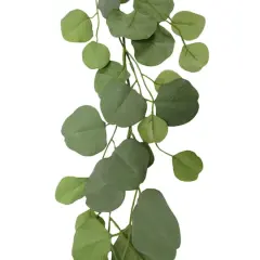6ft. Eucalyptus Garland by Ashland&reg;