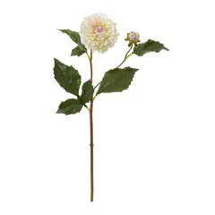 19" Dahlia Stem, 6ct. White