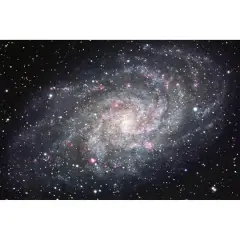 Dimex Galaxy Wall Mural