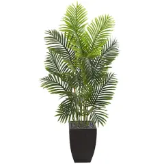 5.5ft. Paradise Palm Tree with Square Planter