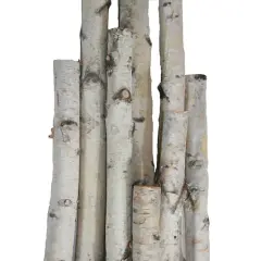 $product['description']['title']}