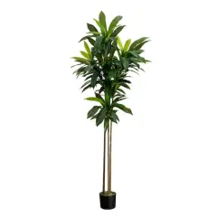 7ft. Potted Green Artificial Dracaena Tree with Real Touch Leaves