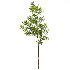 23" Boxwood Spray Plant, 12ct.