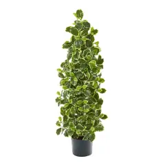 3.5ft. Potted Real Touch&trade; Variegated Holly Leaf Tree