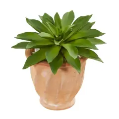 11" Giant Succulent in Terracotta Planter