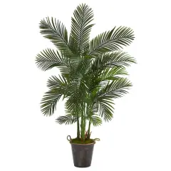 5.75ft. Areca Palm Tree in Decorative Metal Pail with Rope