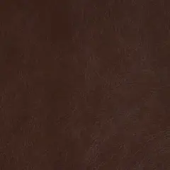 Richloom Tampa Saddle Vinyl Upholstery Fabric