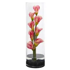 20" Calla Lily Arrangement in Cylinder Glass Vase Pink