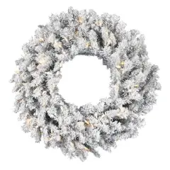 24" Pre-Lit Frosted Silver Artificial Christmas Wreath, Warm White Dura-lit LED Lights