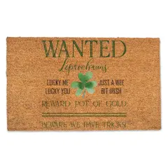 Leprechauns Wanted 30" x 18" Door Mat