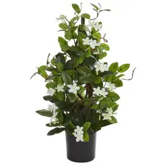 24&rdquo; Potted White Stephanotis Climbing Plant 
