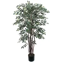 4ft. Potted Ruscus Tree