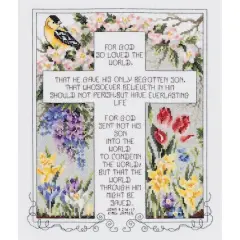 Janlynn&reg; John 3:16-17 Counted Cross Stitch Kit