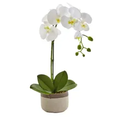 19" White Orchid in Ceramic Pot
