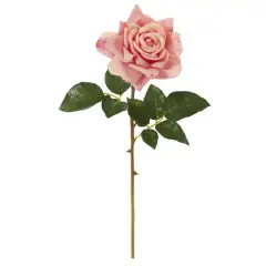 Rose Flower Stem, 6ct. Pink