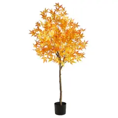 5ft. Potted Yellow Autumn Maple Tree