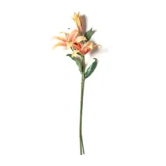 Casablanca Lily Stem by Ashland&reg; Flame