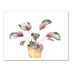 Coastal Beach Plant 16" x 12" Canvas Wall Art