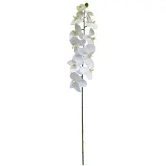 White Orchid Stem by Ashland&reg;