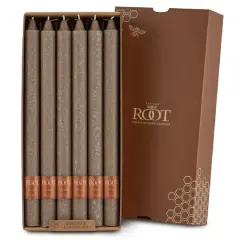 Root Candles 12" Unscented Timberline&trade; Arista&trade; Taper Candles, 12ct. Portobello