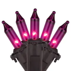 100ct. Mini Christmas String Lights with Black Wire Purple