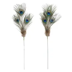 Peacock Feather Picks by Ashland&reg;