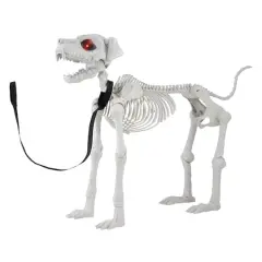 5ft. Poseable Dog Skeleton by Ashland&reg;