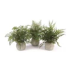 14" Potted Fern Plant in Gray Pot Set
