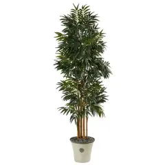 6ft. Phoenix Palm Tree in Decorative Planter