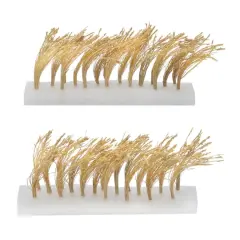 JTT Scenery Products Mini Wheat