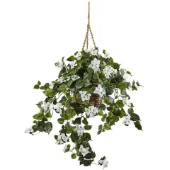 28" Bougainvillea in Hanging Basket