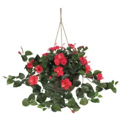 24" Red Hibiscus In Hanging Basket